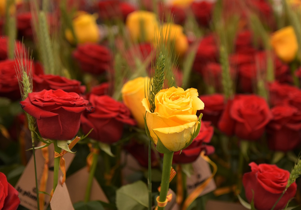 Qué hacer en Sant Jordi con niños